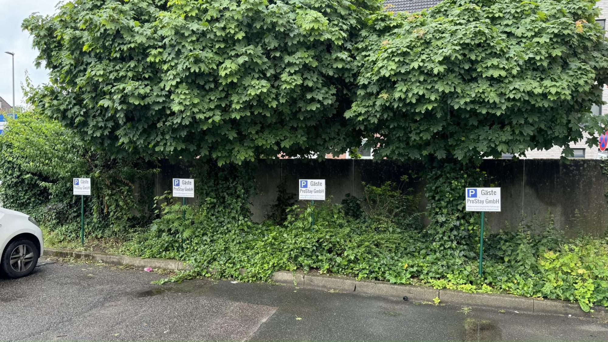 Apartments Im Herzen Von Neumuenster Innenstadt & Hbf Fusslaeufig, Mit Privatparkplatz Esterno foto